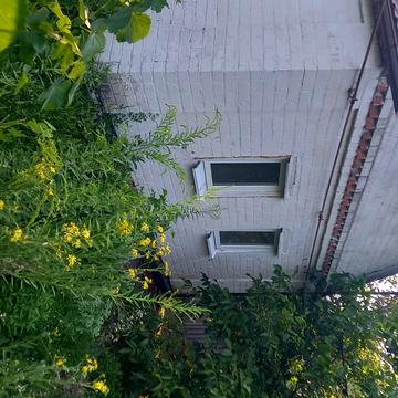 ЗАПОРОЖСКАЯ