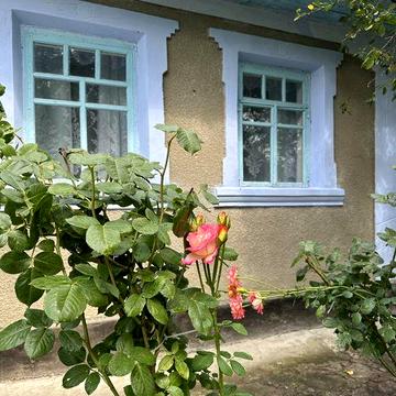 Будинок в с. Пилипківці