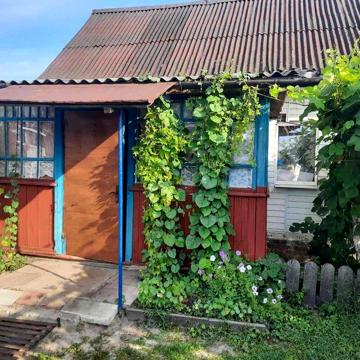 Вихід до лісу, Андріївка, будинок з 70 сотками землі. Супермісце!