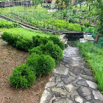 Будинок в Карпатах, Яремче