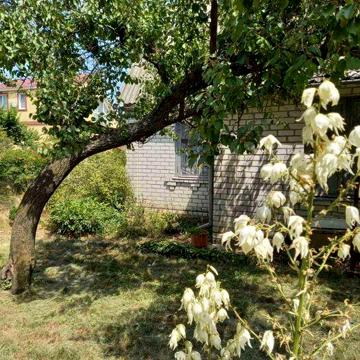 Дача в садовом кооперативе "Днепровец" Бориспольский р-н. Осокорки