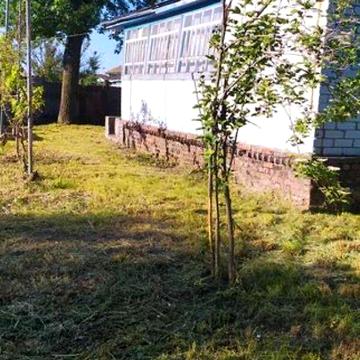 Продаж 5к Дім Ніжинський район