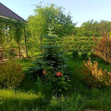 Продам дачу район Чайки, с/о  Каскад г. Каменское