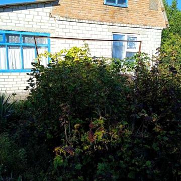 Дача в  садовому  товаристві  Машбуд