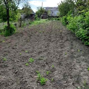 Продам будинок  в межах міста з гарним видом на фортецю
