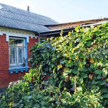 Продам свій будинок м.Сквира