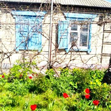 Продам будинок/дом Підгородне