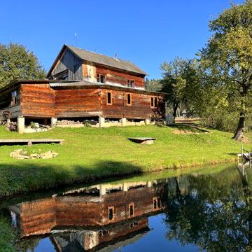 Оренда будинок в Карпатах, власний ставок на території