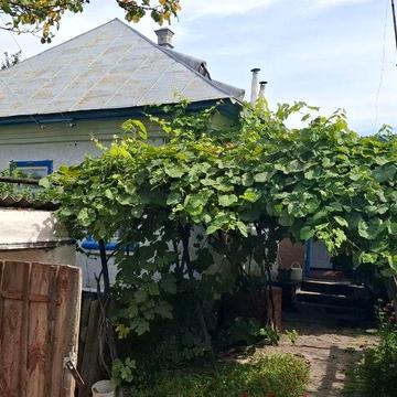 Будинок в с.Хотинівка