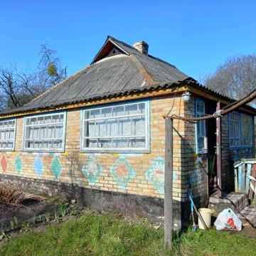 Рови, цегляний будинок з великою ділянкою 60  соток. Поруч ліс