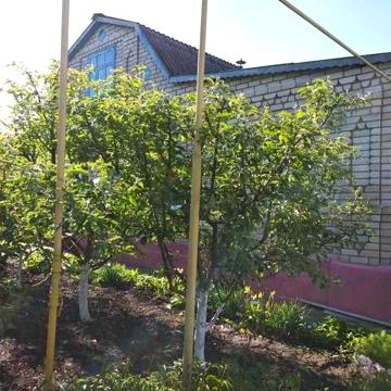 Продаж будинку (Побукзьке) 10 сот ,