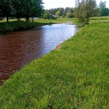 Продам будинок  с. Дідовичі