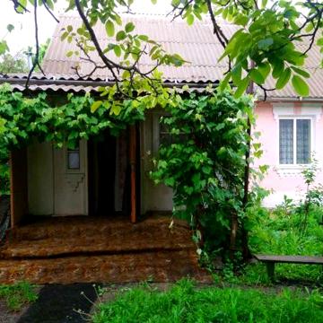 Продається будинок в с. Михайлівка Білоцерківського р-ну Київської обл