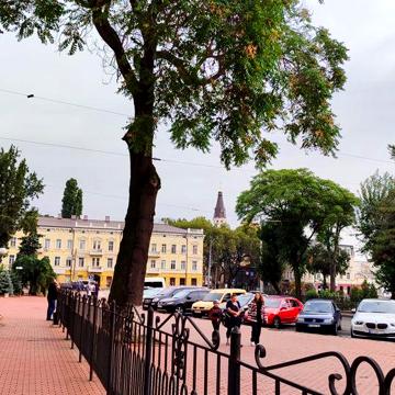 Продам 2х кімн.на Рішельєвській Терміново