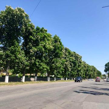 Терміново під магазин/бізнес/офіс/житло в Хмільнику з мож.добудови