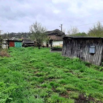 Будинок із землею