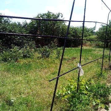 Дом продам, в аренду,  ,Ст. Выгода.