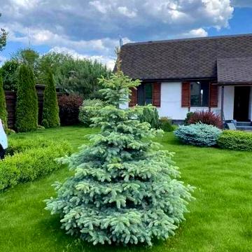 Продам дом с.Ровжи,СТ Дружба.Беседка, мангал, Камин,Спортзал,Сауна