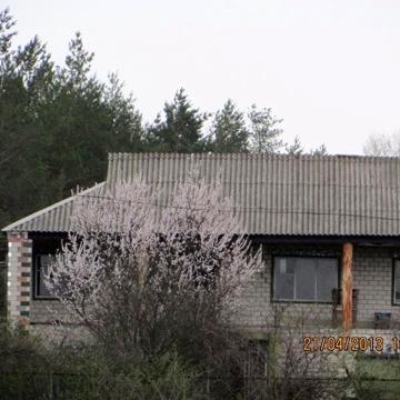 Продам дом возле леса и реки Орель в пгт. Царичанка 42 сотки участок