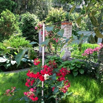 Продаж 2к Дім Учбова вулиця