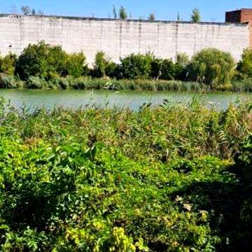 Пропонуємо до продажу просторий будинок у розвиненому м.Шпола