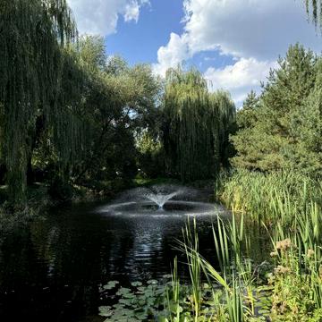 Ексклюзивна Дача в Лісі (с. Веснянка)