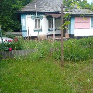 Хата 3 кімнати 69.4 к.м литня кухня. .хлів. лех.свердловина 60 соток