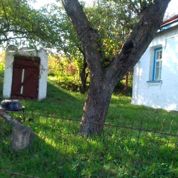 Продам дом с участком 81 сотка , с.Чернын Таращанский р-н