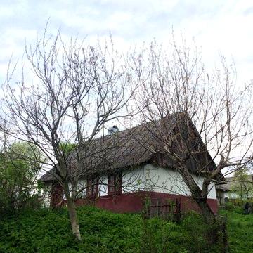 Продається земельна ділянка з старим будинком та стайнею й стодолою