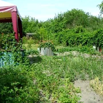 Терміново продам дачу-будинок в. Малій Салтанівці! Без комісії!