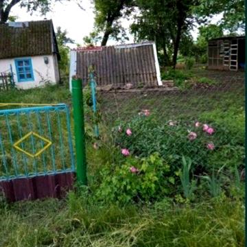 Меняю дачу на деньги