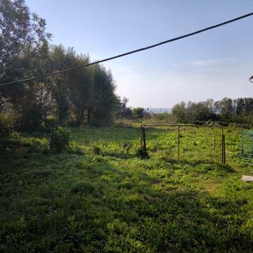 Цегляний будинок великий полюхів