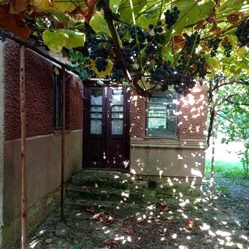 Будинок з земельною ділянкою біля будинку