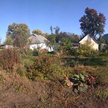 Земельна ділянка в с. Малі Єрчики Малі Єрчики