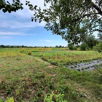 Продам будинок в с. Старе Село (Червоне)