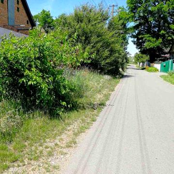 Будинок з земельною ділянкою 44 сотки Київська обл. продаю