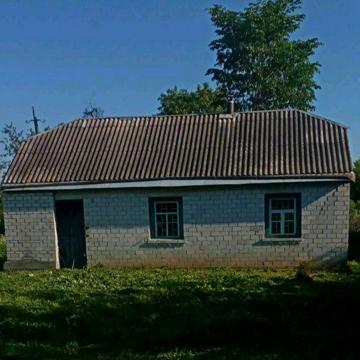 Продається будинок в селі Велика Снітинка