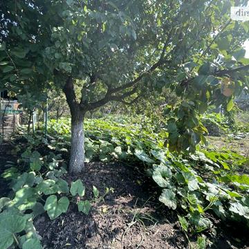 Продажа 2к дом Героїв України (Комарова) вулиця