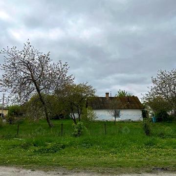 Будинок з земельною ділянкою
