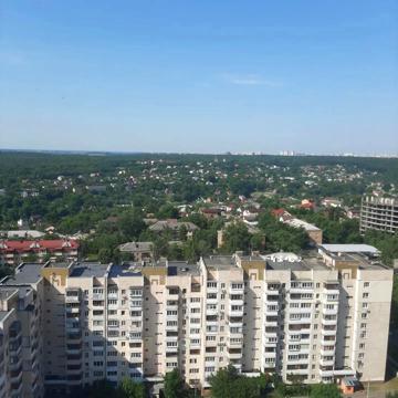 Моторний пров., 11