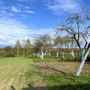 Доглянутий цегляний будинок