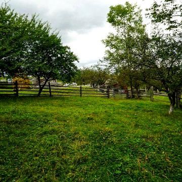 Продається затишний будинок з невеликою ділянкою в Карпатах