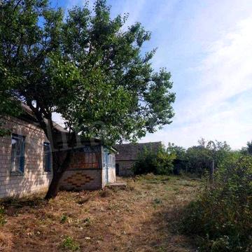 Продається будинок у с. Строкова під лісом