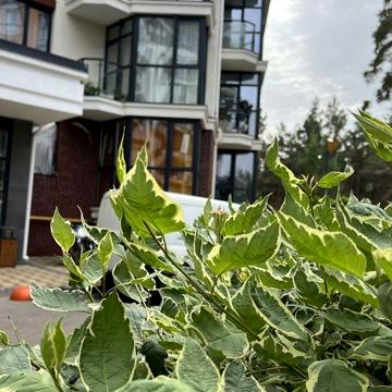 Продаж 2к Квартира Прорізна вулиця ЖК На Прорезной