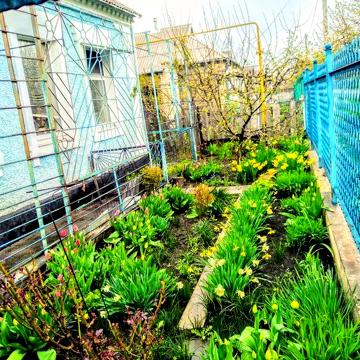 Дом просторный с большой усадьбой в Долгинцевском районе