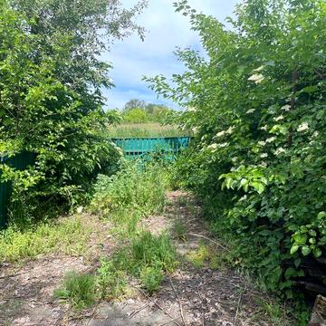 Продаж будинка в селі Тарасівка