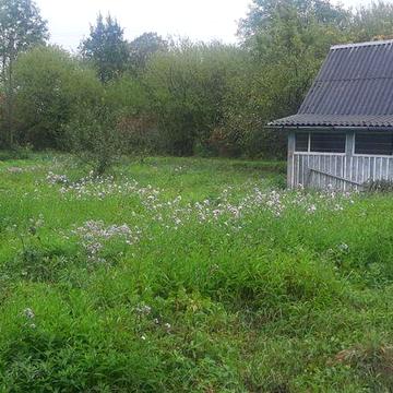 Дача , дачна ділянка вул.Довбуша