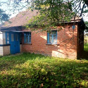 Продам будинок,земельну ділянку у селі Павлівка Вінницької області