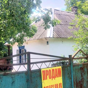 Центральна вул., 54