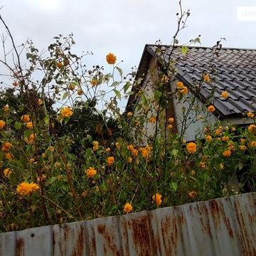 Продаж 4к Дім Академіка Вавілова вулиця